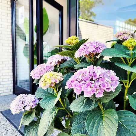 Apartment Kostengünstige&charmante Ferienunterkunft Ohne Küche Und In Strandnähe - Ideal Für Kurztrips Oder 1-nacht Aufenthalte *